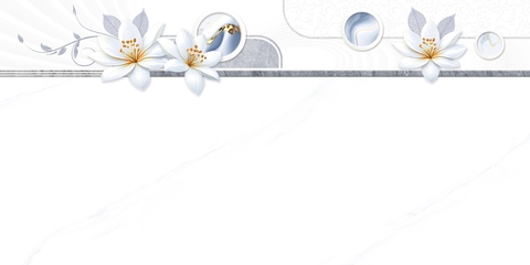 Gạch Prime 30x60cm 17619