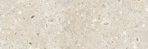 Gạch Prime 10x30cm 09E09
