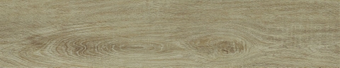 Gạch Prime 20x100cm 20706