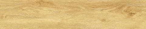 Gạch Prime 20x100cm 20710