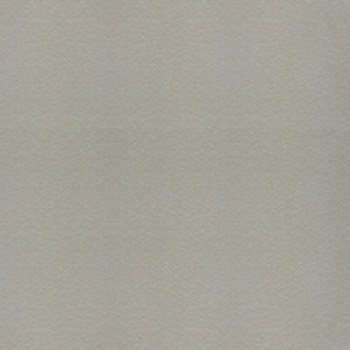 Gạch Taicera 60×60 – G68548