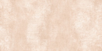 Gạch ốp tường Prime 30x60 09578