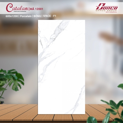 Gạch Catalan 60x120cm 12001