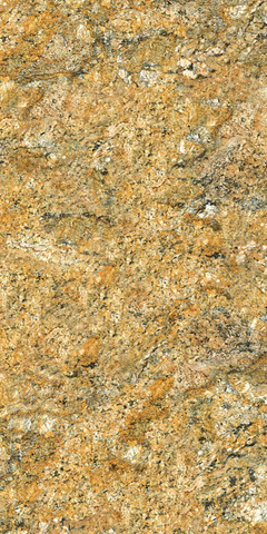 Gạch Catalan 60x120cm 12012