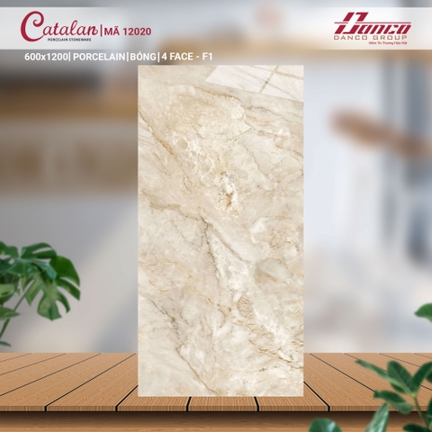 Gạch Catalan 60x120cm 12022