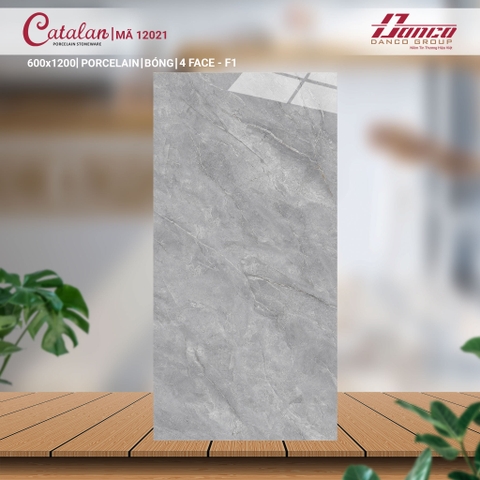 Gạch Catalan 60x120cm 12021