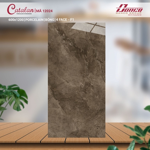 Gạch Catalan 60x120cm 12024