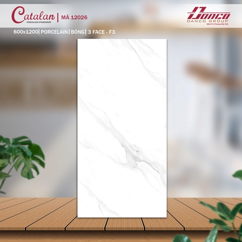 Gạch Catalan 60x120cm 12026