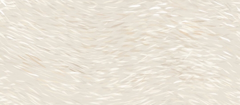 Gạch 120278HDUD Vietceramics 120x278cm (Vest)