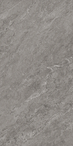 Gạch Catalan 60x120cm 12040