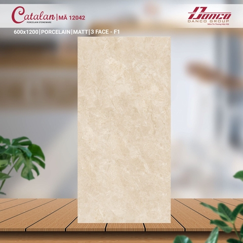 Gạch Catalan 60x120cm 12042