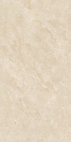 Gạch Catalan 60x120cm 12042