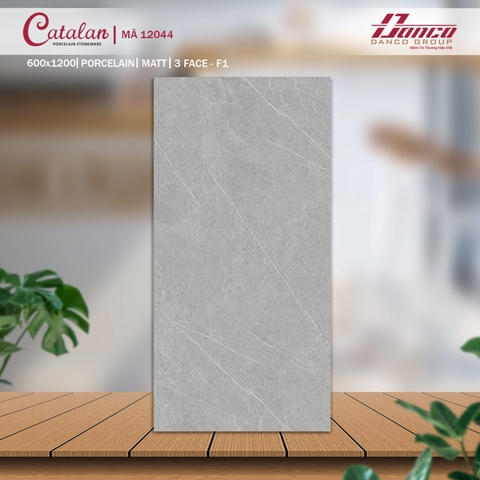 Gạch Catalan 60x120cm 12044