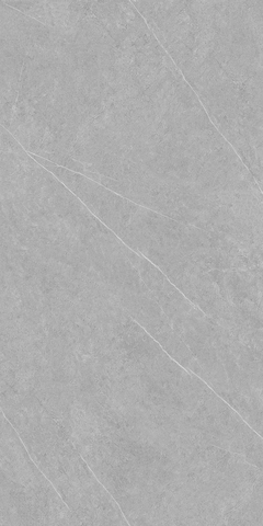 Gạch Catalan 60x120cm 12044