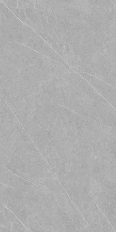 Gạch Catalan 60x120cm 12044