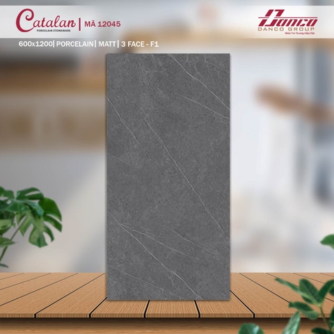Gạch Catalan 60x120cm 12045