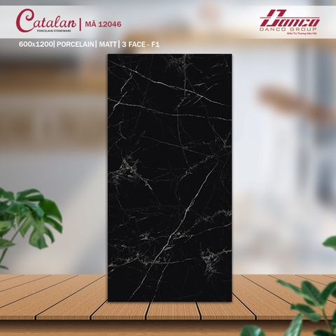 Gạch Catalan 60x120cm 12046
