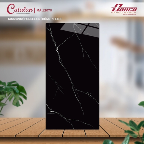 Gạch Catalan 60x120cm 12070