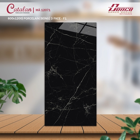 Gạch Catalan 60x120cm 12071
