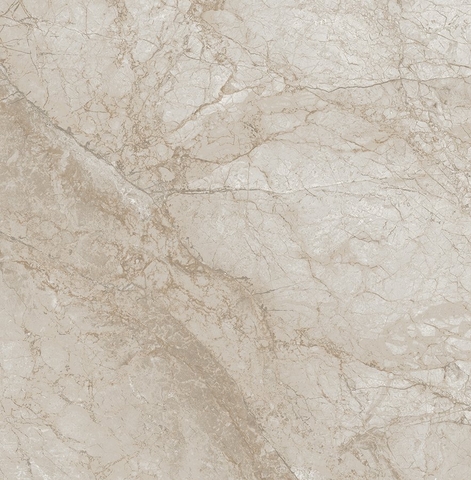 Gạch 120CHBE Vietceramics 120x120cm (Marble 2)
