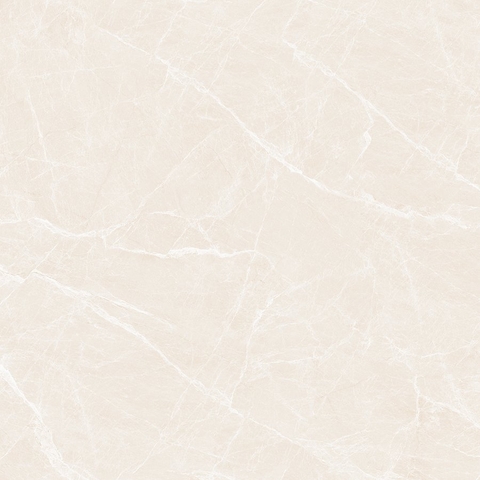 Gạch 120FLBE Vietceramics 120x120cm (Marble 2)