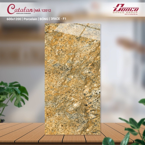 Gạch Catalan 60x120cm 12012