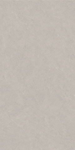 Gạch Catalan 60x120cm 12201