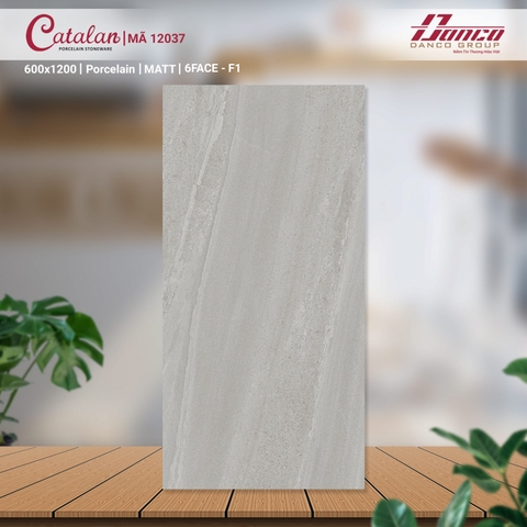 Gạch Catalan 60x120cm 12037