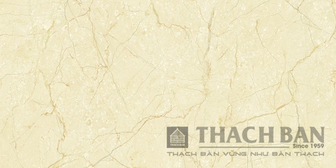 Gạch ốp tường thạch bàn 30x60 MPF36-853