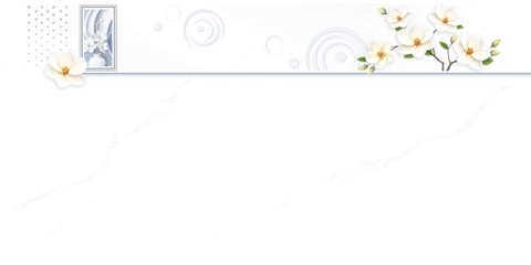 Gạch Prime 30x60cm 22141