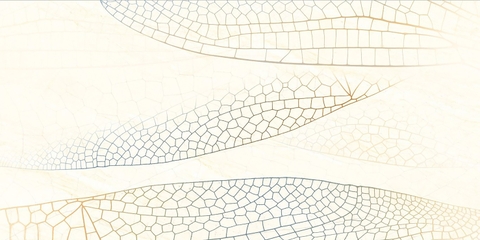 Gạch Prime 30x60cm 33054