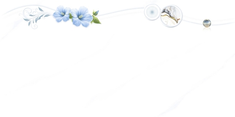 Gạch Prime 30x60cm 33081