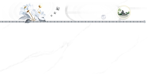 Gạch Prime 30x60cm 33099