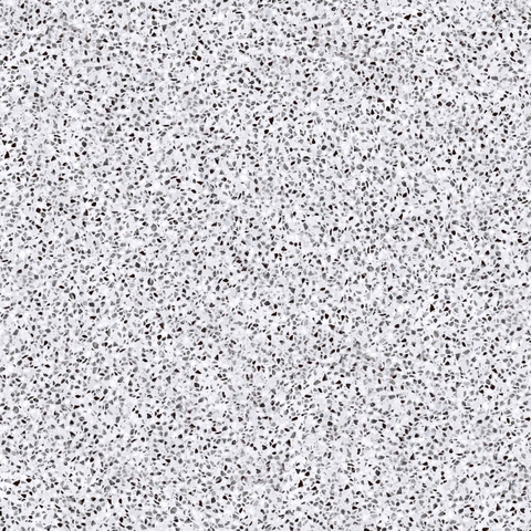 Gạch Prime 40x40cm 09446