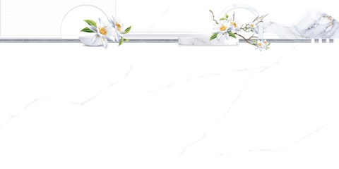 Gạch Prime 40x80cm 08501