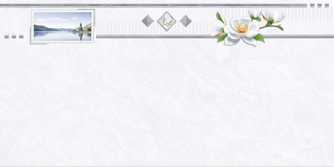 Gạch Prime 40x80cm 08510