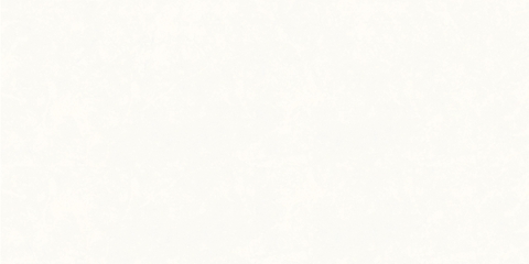 Gạch Prime 40x80cm 08519