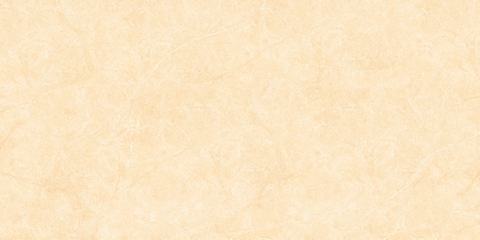 Gạch Prime 40x80cm 08521