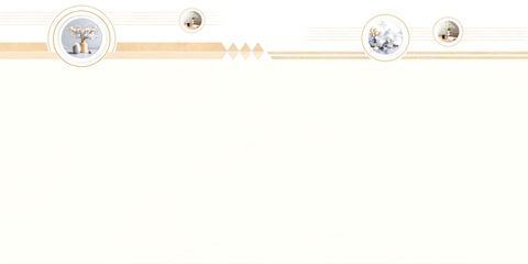Gạch Prime 40x80cm 08526