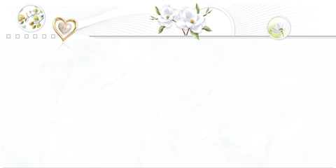 Gạch Prime 40x80cm 08533