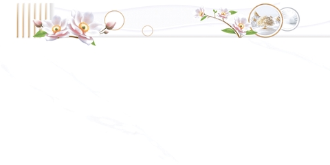 Gạch Prime 40x80cm 08536
