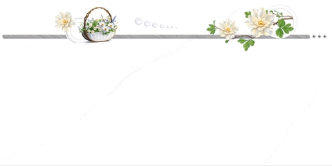 Gạch Prime 40x80cm 08542