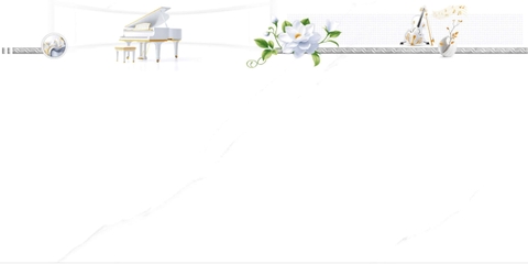 Gạch Prime 40x80cm 08545