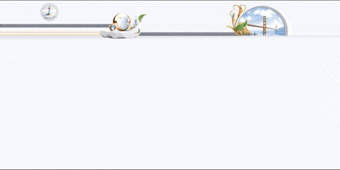 Gạch Prime 40x80cm 38025