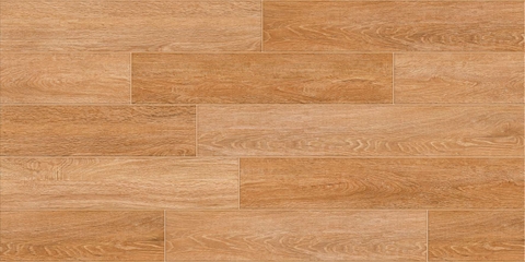 Gạch Prime 50x100cm 29005