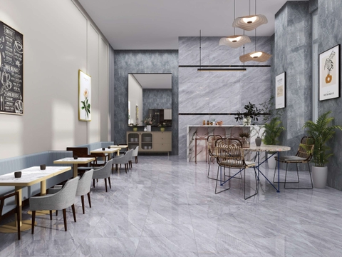 Gạch Prime 50x100cm 29052