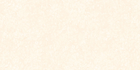 Gạch Prime 50x100cm 29057