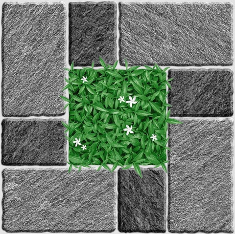 Gạch Prime 50x50cm 01548