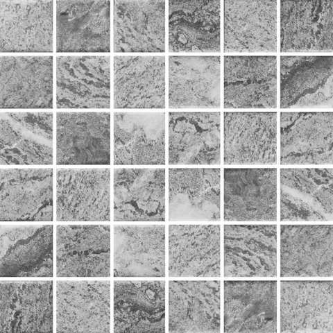 Gạch 2SR1-HIALGY Vietceramics 30x30cm (Swimming Pool Mosaic)