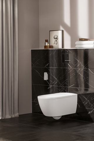 Bồn cầu treo tường Villeroy & Boch Antheus Vietceramics (Hungary)
